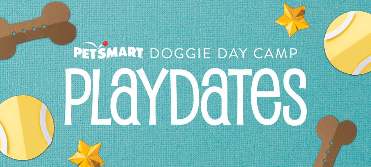 Doggie Day Camp Playdates – visual asset 1