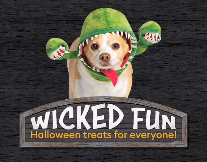 2021 Halloween Display, Visual merchandising work for PetSmart