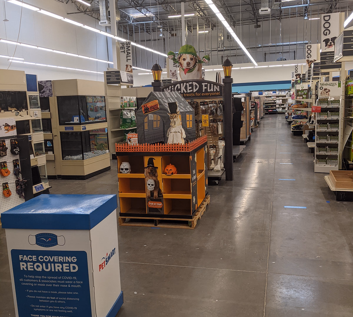 2021 Halloween Display – visual asset 2