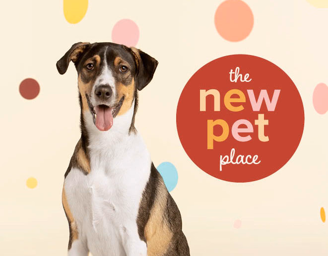 New Pet Place, Retail Destination & Environmental Merchandising work for PetSmart
