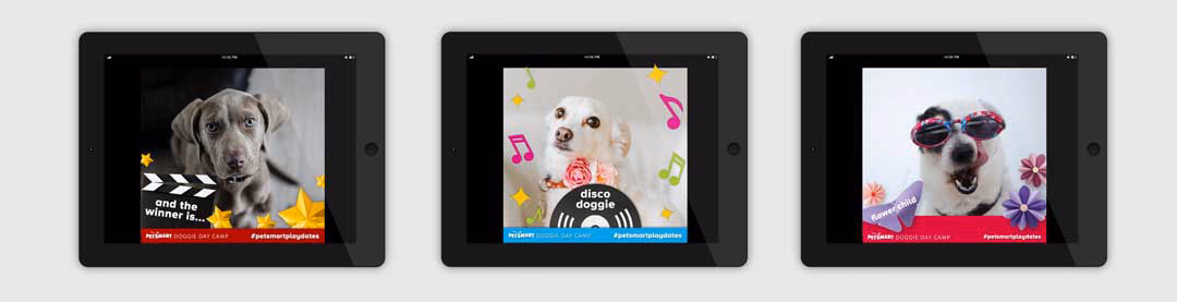 Digital Photo Frame & Social Overlays
