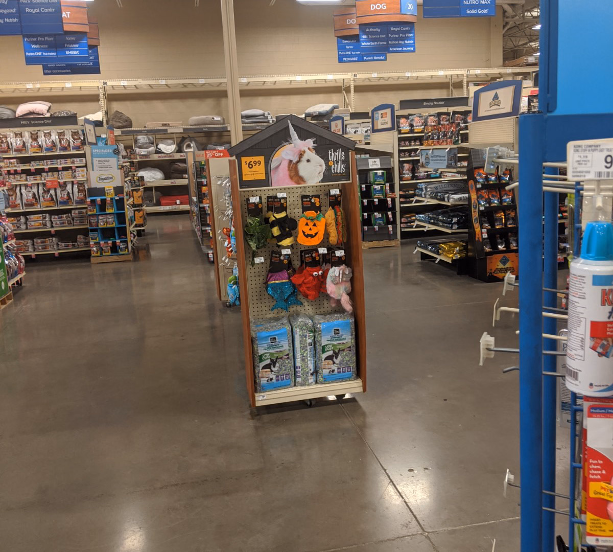 2020 Halloween Display – visual asset 7