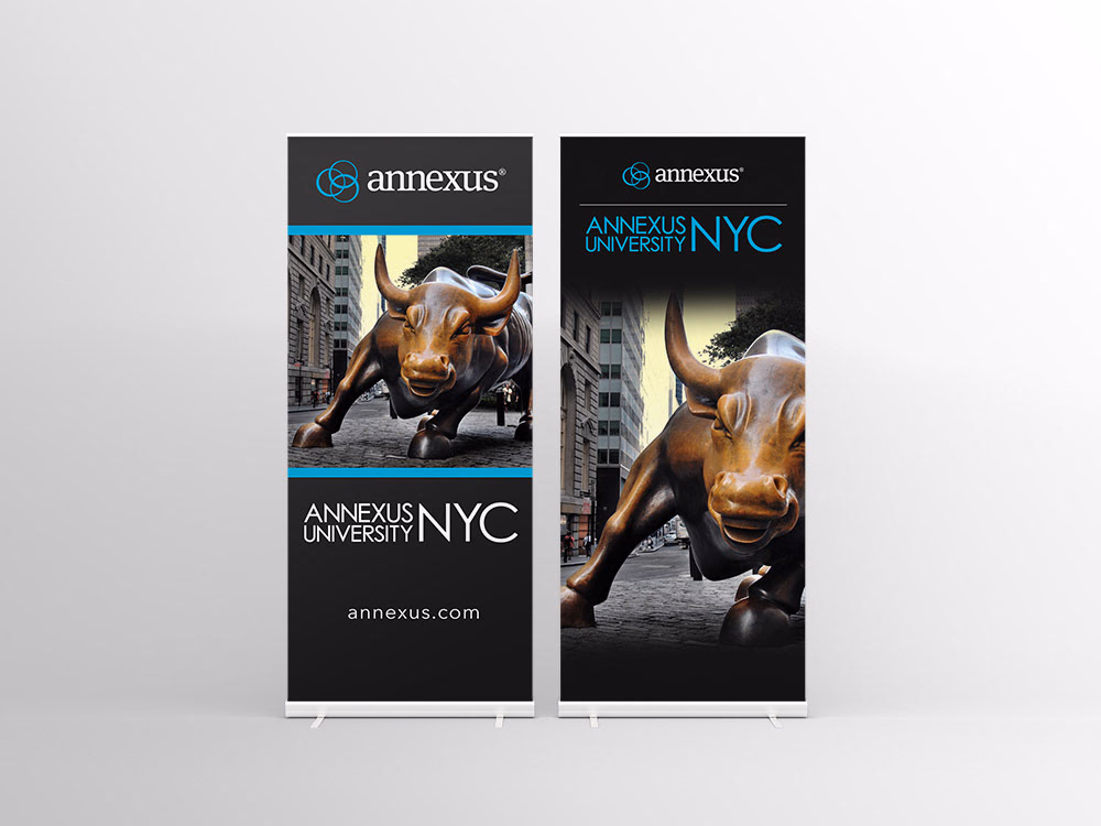 Annexus University – visual asset 21