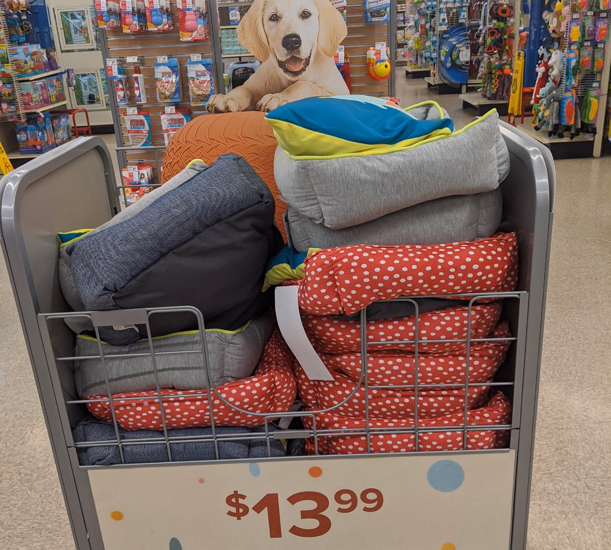 New Pet Place – visual asset 12