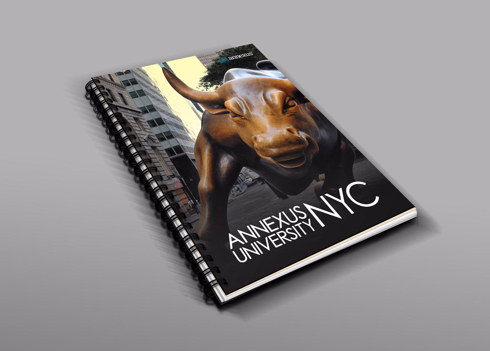 Annexus University – visual asset 20