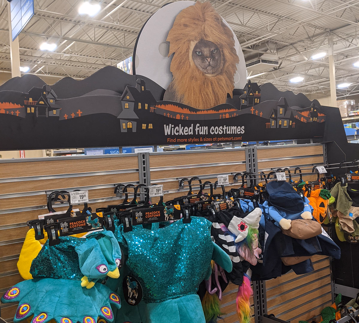 2021 Halloween Display – visual asset 4