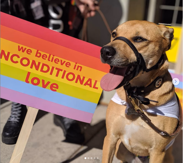 Pride At Work – visual asset 16