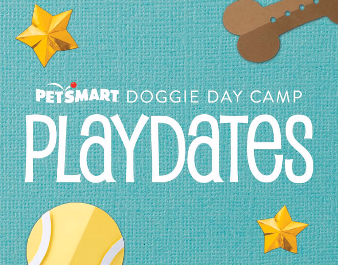 Doggie Day Camp Playdates, Service Marketing & Experiential Retail work for PetSmart