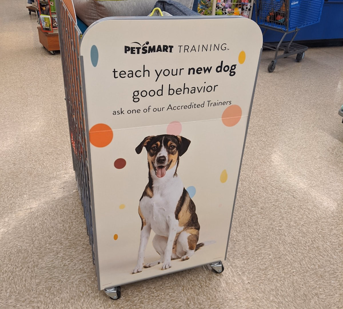 New Pet Place – visual asset 13